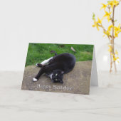 キャットユーモア誕生日 カード (黄色い花)