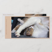 キャットヨガ/スイート顔 サンキューカード (正面/裏面)