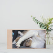 キャットヨガ/スイート顔 サンキューカード (スタンド正面)