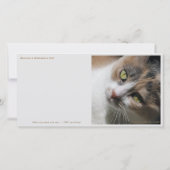 キャットヨガ/スイート顔 サンキューカード (裏面)