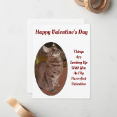 キャットルックアップデジタル写真バレンタイン引用文 ノートカード (正面/裏面インサイチュ)