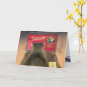 キャットルールザワールド誕生日 カード (黄色い花)