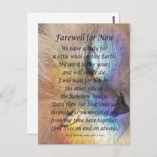 キャットレインボーブリッジペット悲しみ悔やみや弔慰はがき ポストカード (正面/裏面)