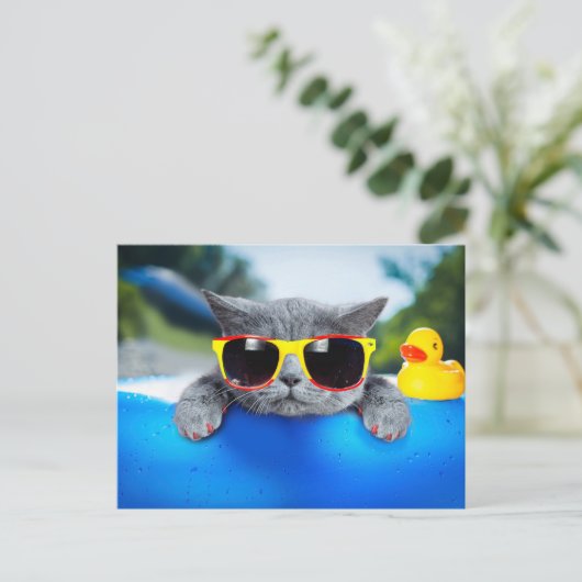 キャットレストはエアマットレスのプールに ポストカード (スタンド正面)