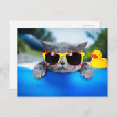 キャットレストはエアマットレスのプールに ポストカード (正面/裏面)