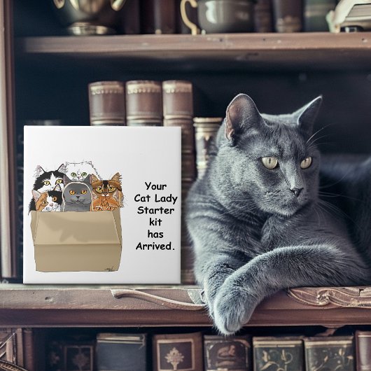 キャットレディースターターキット タイル