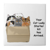キャットレディースターターキット タイル (正面)
