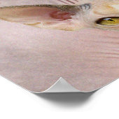 キャットレディ ポスター (角)