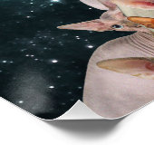 キャットレディ ポスター (コーナー)