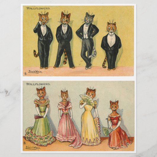 キャットワルカラフルフラワーズバイルイワーイン (正面)