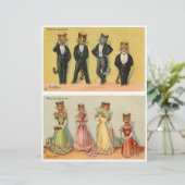 キャットワルカラフルフラワーズバイルイワーイン (スタンド正面)