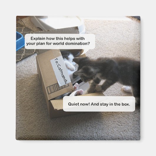 キャットワールド制圧磁石 マグネット (正面)