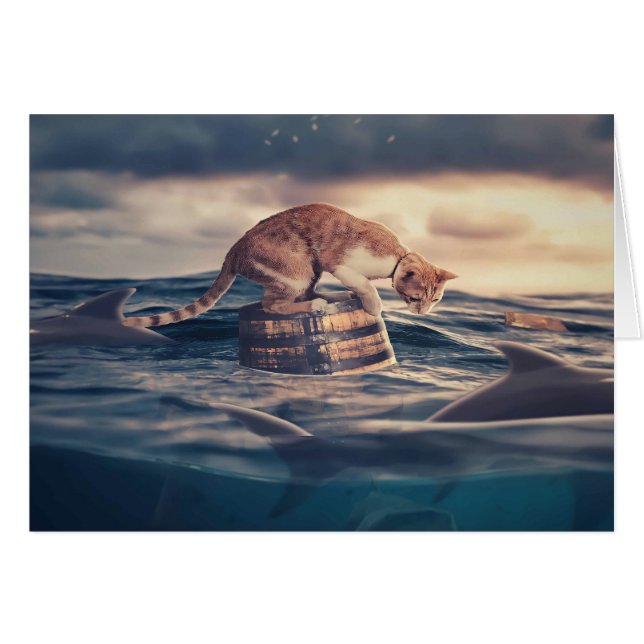 キャット昼寝ドリームア悪夢 (正面横)