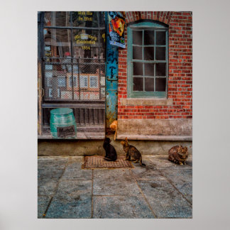 キャット遊 ポスター