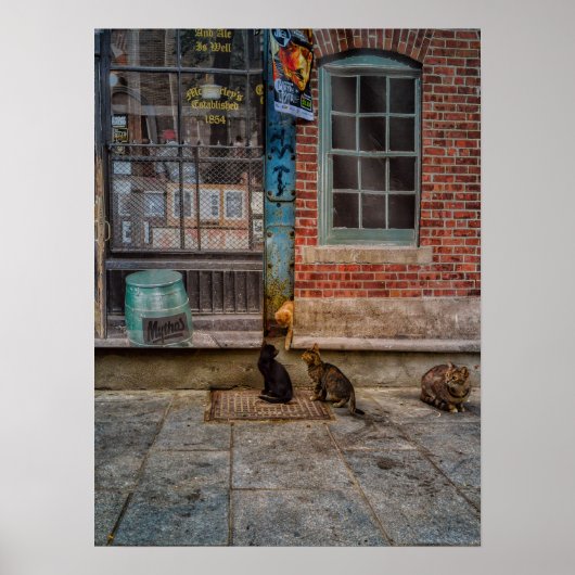 キャット遊 ポスター (正面)