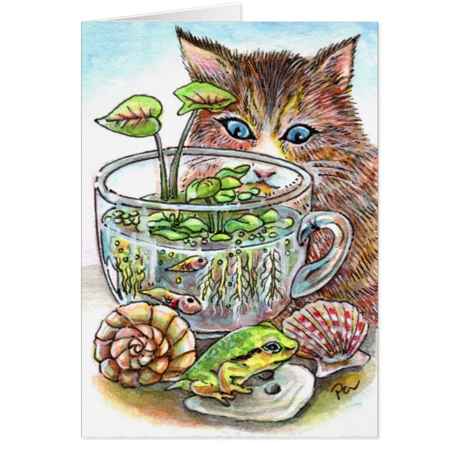 キャット・アンド・カエル (正面)