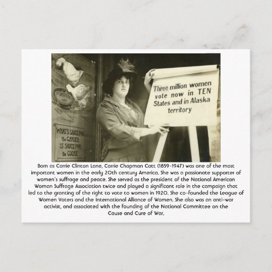 キャット – フェミニスト ポストカード (正面)