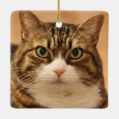 キャッパーソナライズされたトペット記念ホリデー セラミックオーナメント (裏面)