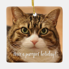 キャッパーソナライズされたトペット記念ホリデー セラミックオーナメント