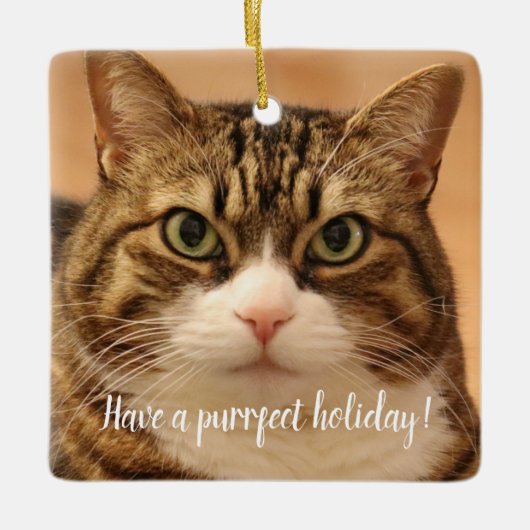 キャッパーソナライズされたトペット記念ホリデー セラミックオーナメント (正面)