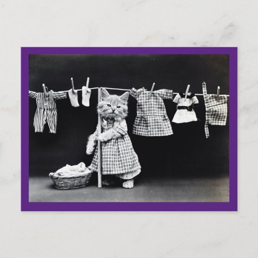 キャッビクトリアント、ヴィンテージ、キャットアートポストカード ポストカード (正面)