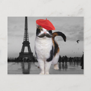 キャッフランスのト・イン・パリ ポストカード