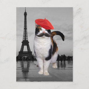 キャッフランスのト・イン・パリ ポストカード