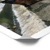 キャッフランスのト ポスター (角)