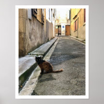 キャッフランスのト