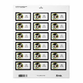 キャップとディプロマが入ったかわいい漫画の卒業フクロウ ラベル (フルシート)