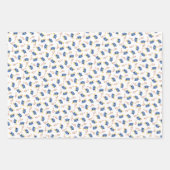 キャップと卒業証書 ラッピングペーパーシート (正面2)