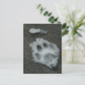 キャッ凍っていトズポー ポストカード (スタンド正面)