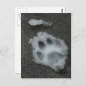 キャッ凍っていトズポー ポストカード (正面/裏面)