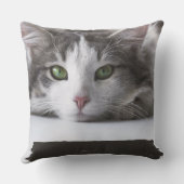 キャッ国際的トデイ、グレー クッション (裏面)