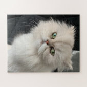 キャッ怒クおもしろいペット ジグソーパズル (横)