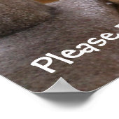 キャッ祈ト ポスター (角)