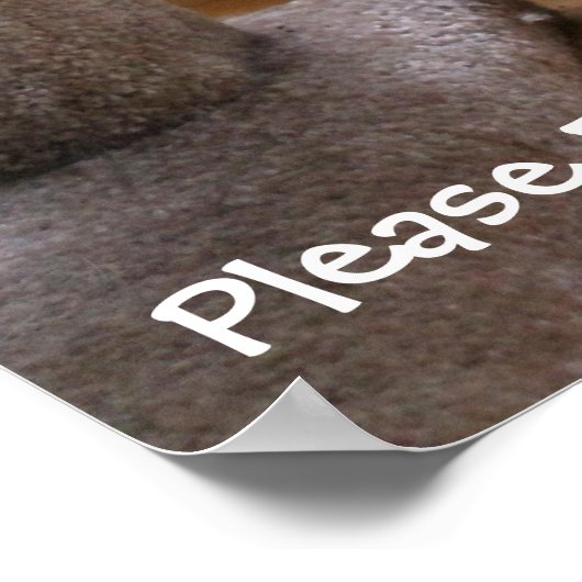 キャッ祈ト ポスター (角)