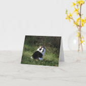 キャッ空白のト カード (黄色い花)