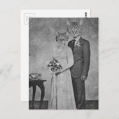 キャッ結婚ト ポストカード (正面/裏面)