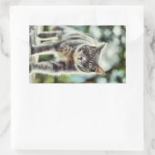 キャッ絵画ト 長方形シール (バッグ)