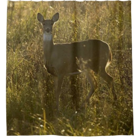 キャッ親愛プ2シャワーカーテン シャワーカーテン (正面)