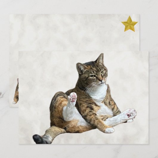 キャッ間抜けトポーズ – Annie's Flat Greeting Card (正面/裏面)