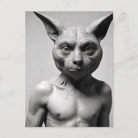 キャッ風変わりトガイはがき ポストカード (正面)