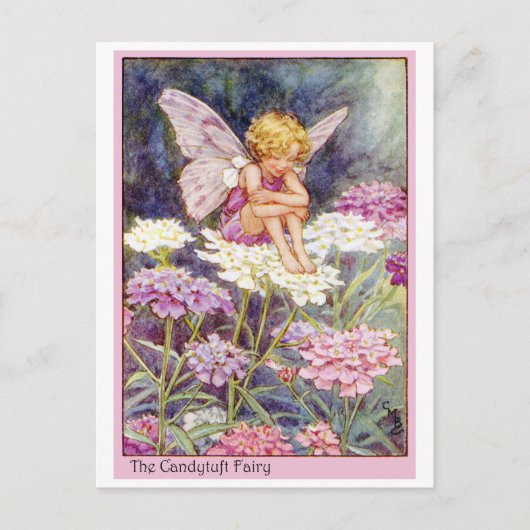 キャディタフトフェアリー ポストカード (正面)