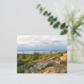 キャディラックマウンテンアカディア国立公園はがき ポストカード (スタンド正面)