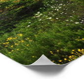 キャデラックマウンテンアカディア国立公園ポスター ポスター (角)