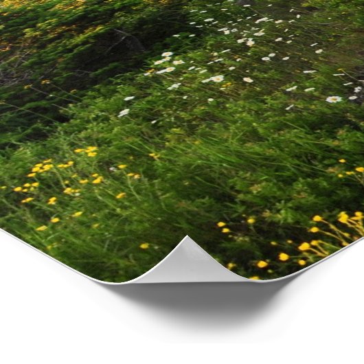 キャデラックマウンテンアカディア国立公園ポスター ポスター (角)