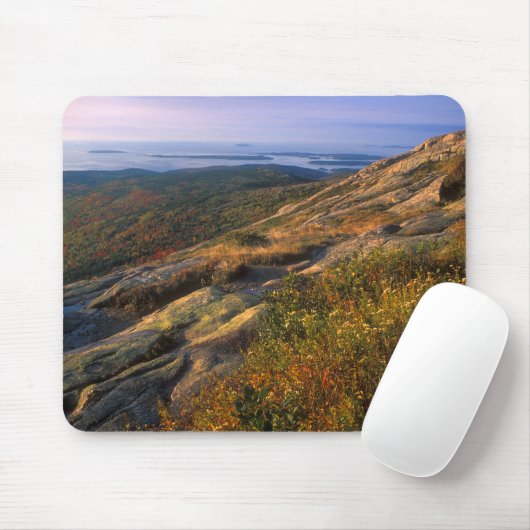 キャデラック山のアカディア国立公園 マウスパッド (マウス)