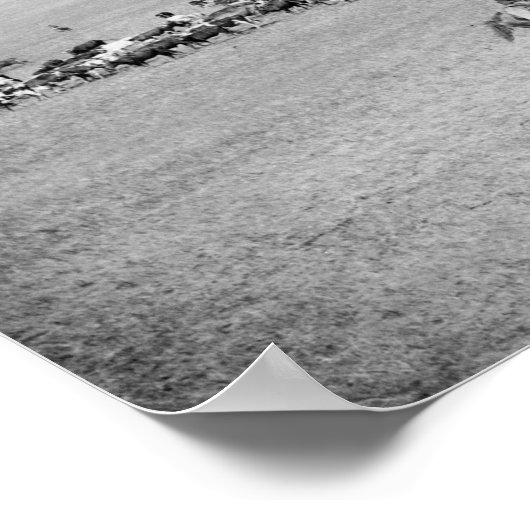 キャトルを持つカウボーイズ写真撮影 ポスター (角)