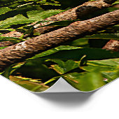 キャトルエグロットのプロフィールポスター ポスター (角)